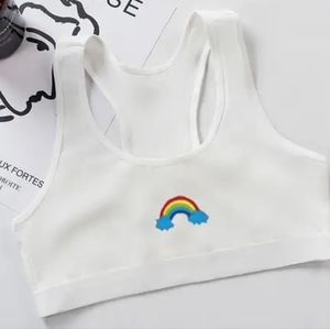 Dainty Rainbow Seamless Sports Bra Crop Top White With Rainbow Graphic M&L